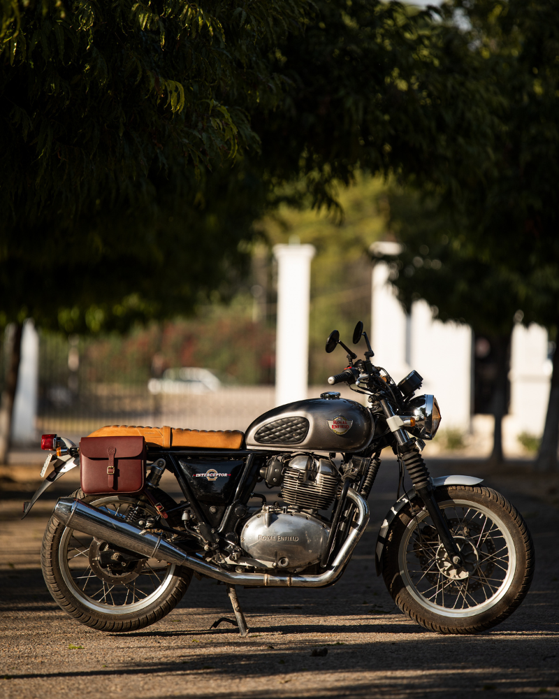 Classic Pannier
