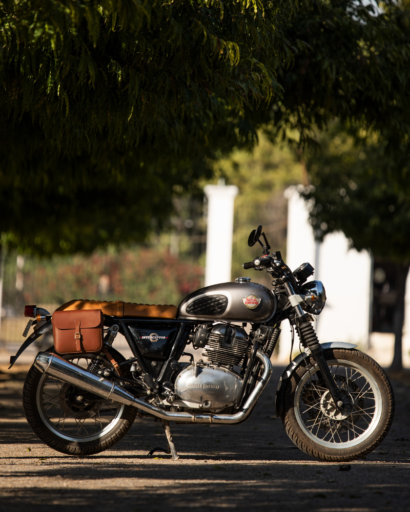Classic Pannier